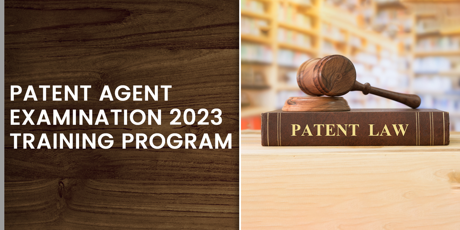 Patent agent examination  2023 training program
